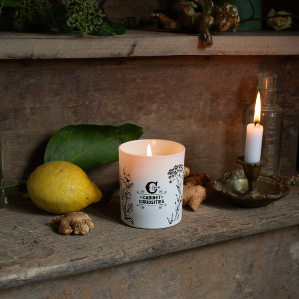 Lemongrass & Ginger Candle