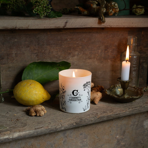 Lemongrass & Ginger Candle
