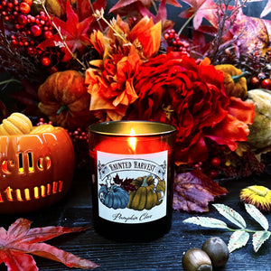 Haunted Harvest Candle - Pumpkin Clove