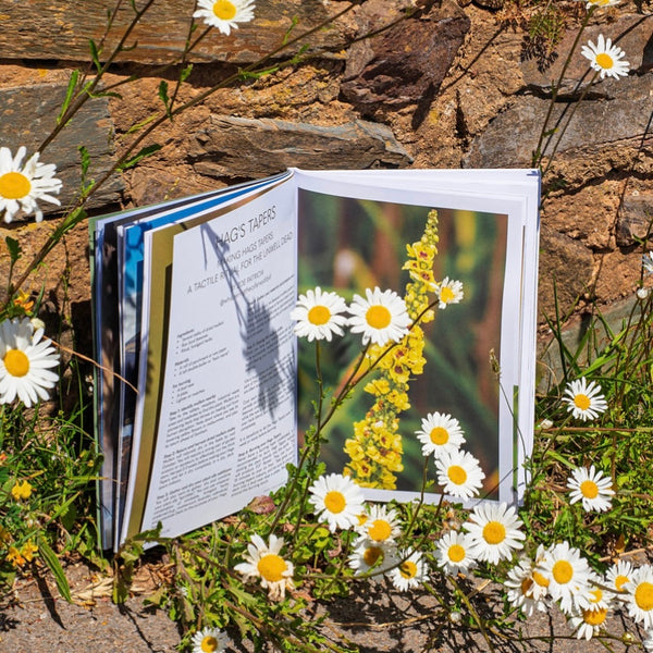 Witches Magazine - Summer Edition